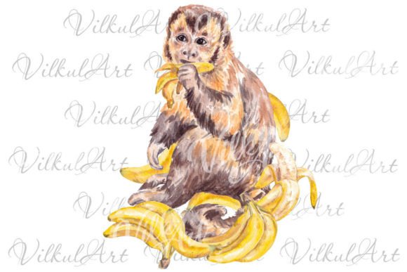 Download Cute Animal Png Monkey Watercolor - Png Collection