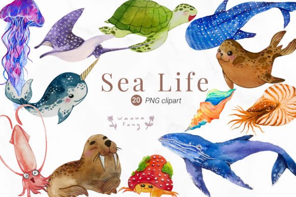 Download Watercolor Sea Life Clipart, PNG - Png Collection