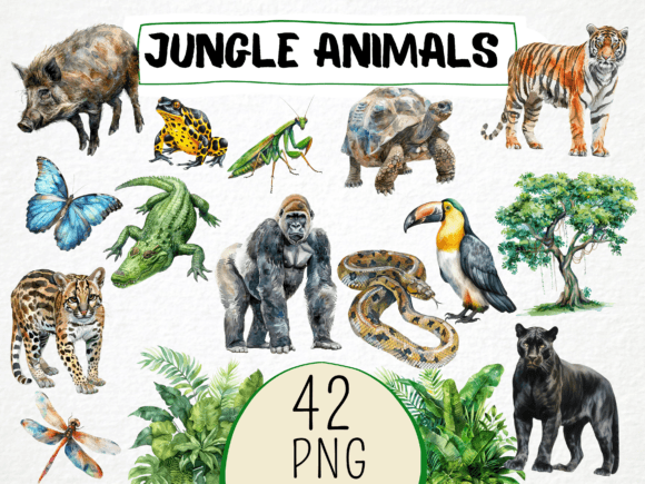 Download Watercolor Jungle Animals Clipart 42 Png - Png Collection