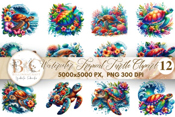 Download Watercolor Tropical Turtle Clipart PNG - Png Collection