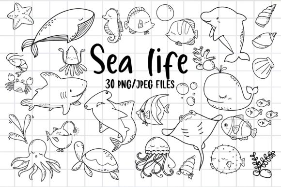 Download Sea Life Clipart, Ocean Animal PNG - Png Collection
