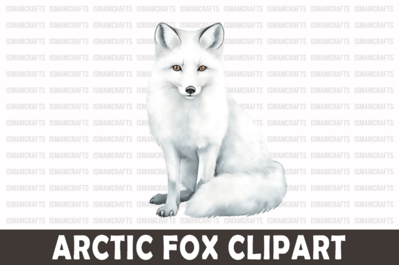 Download Arctic Fox Watercolor Clipart PNG - Png Collection