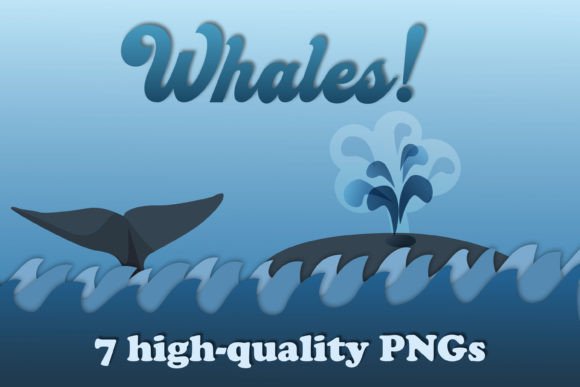 Download Whale PNGs - Png Collection