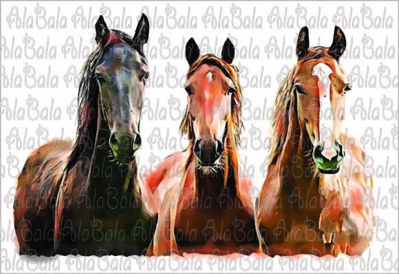Download Horses Png, Sublimation Graphics,clipart - Png Collection